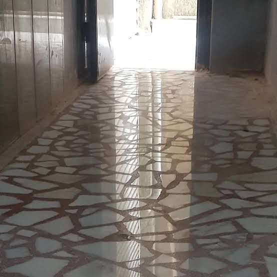 Paladiyen silim 2